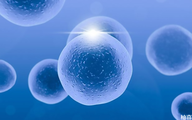 取卵第三天胚胎4细胞可以用于移植