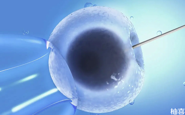 浅析1个胚胎试管成功率是多少，能否移植一文说清楚