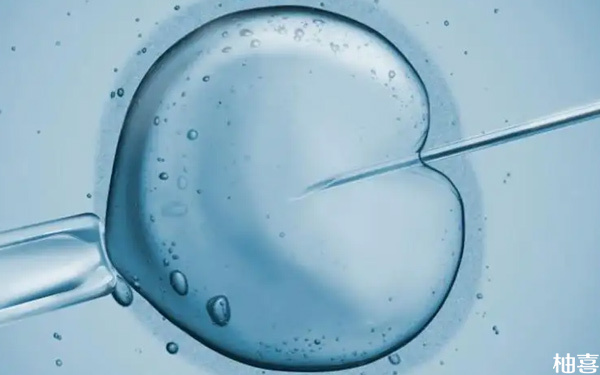 8个胚胎养囊能成几个因人而异！成功率高低自有定论