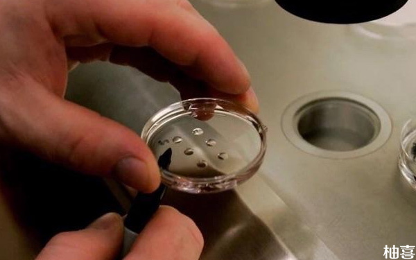 12个胚胎养囊不是个例！成功率高低了解清楚后再说