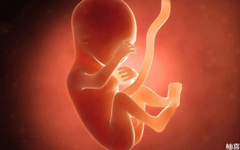 胎儿发育是否健康与双顶径有关
