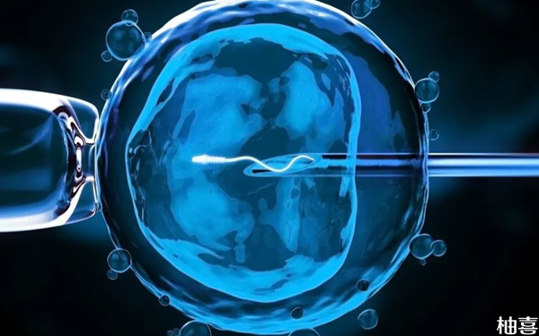 19个胚胎养囊能成几个不好说！质量、碎片率影响成功率