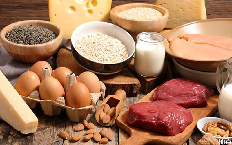 高蛋白的食物能够补充蛋白质