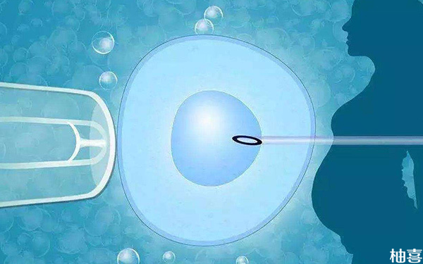 高龄试管方案ppos连续取卵后什么时候可以移植鲜胚?