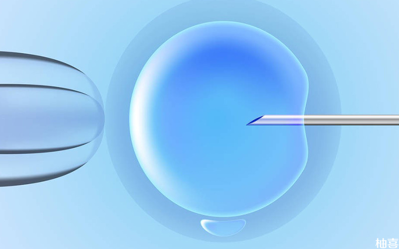 鲜胚移植时间是因人而异的