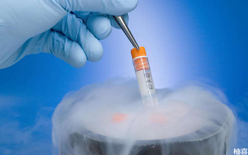 激素水平高的患者适合冻胚移植