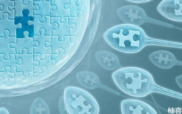 多个胚胎≠受孕成功！高龄女性试管移植数量大有讲究