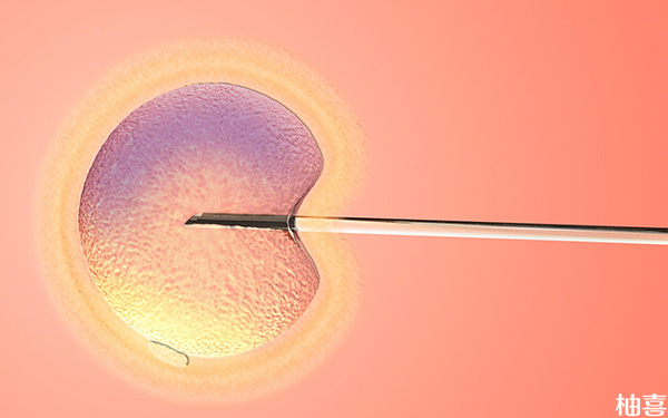 为什么囊胚移植后很多女性都是生儿子?