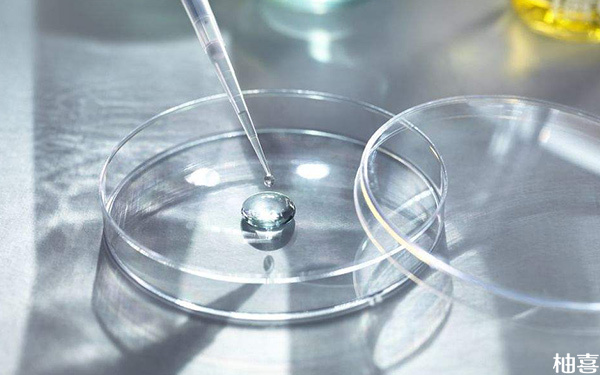 胚胎透明带厚做辅助孵化技术移植成功率会高一点吗?