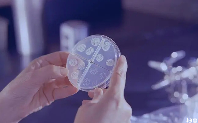 胚胎辅助孵化技术对操作人员技术要求很高