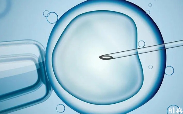 卵泡透明带异常形成的囊胚做试管移植成功案例有多少?
