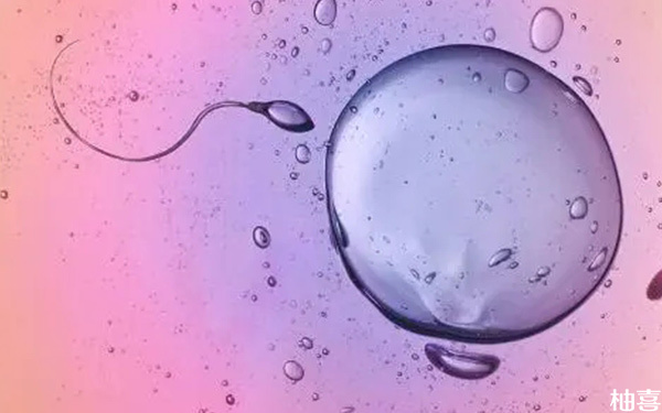 卵子透明带异常缺失是什么原因，是基因问题吗?