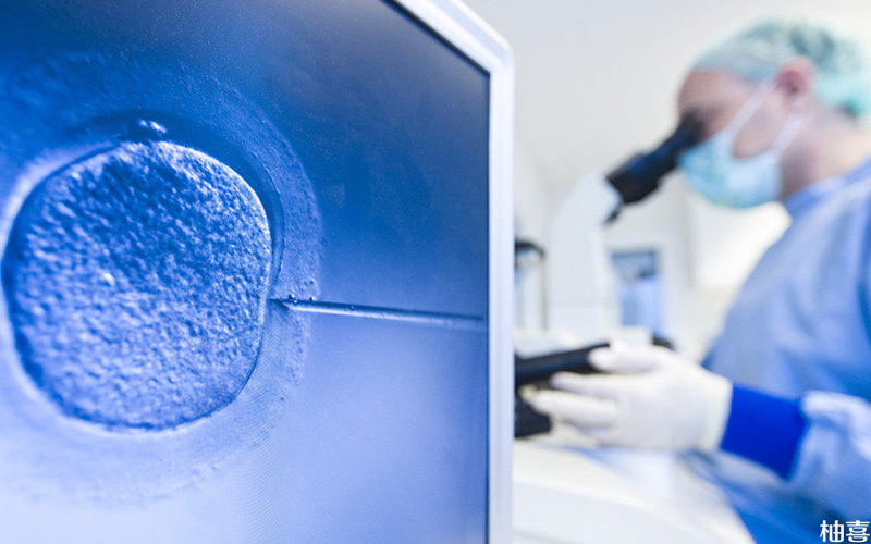 卵子透明带异常可以做二代试管养囊
