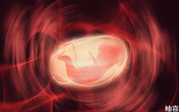 浅析试管9周多胎停的3大原因，未必是精子质量低的问题！