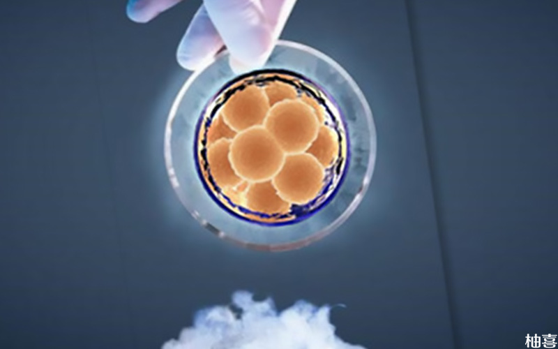 16mm的卵泡配成胚胎成功率不高