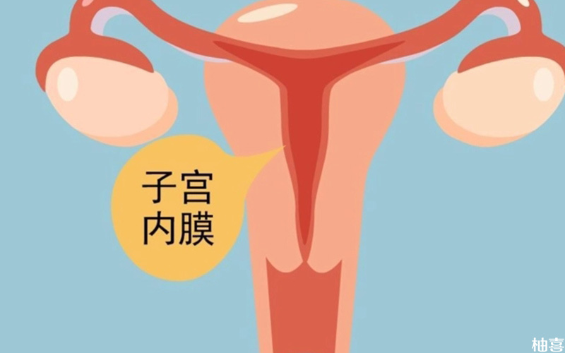 子宫内膜分a、b、c三种类型