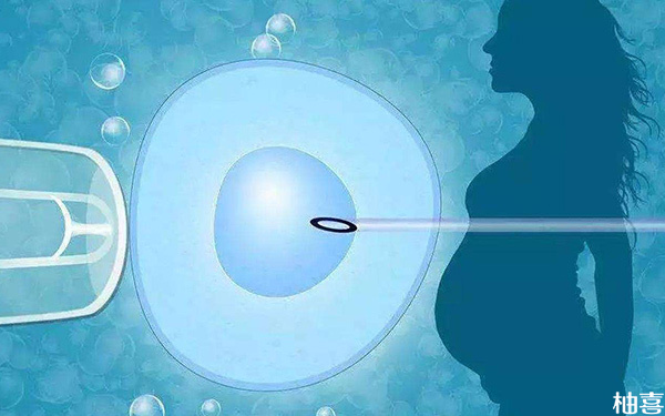 试管婴儿短方案为何不能移植鲜胚而是移植冻胚?