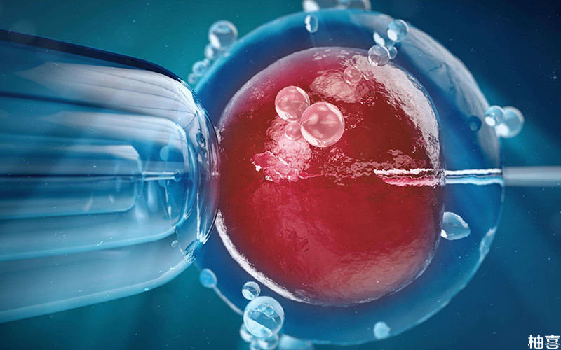 鲜胚移植适合卵巢功能好的女性