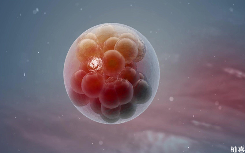 胚胎着床的表现有很多