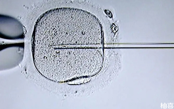 移植鲜胚第4天用验孕棒就测出来了两条杠正常吗?