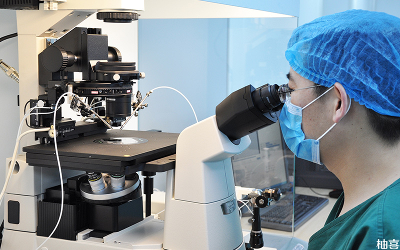 三代试管可以筛查出染色体异常的胚胎