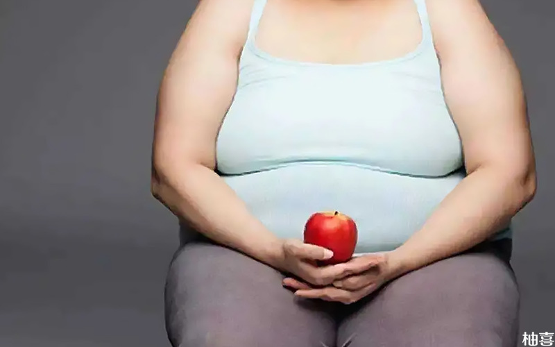 女性身体发胖跟自身生活习惯也有关
