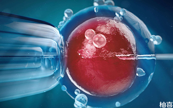 取卵20个卵巢功能未恢复影响冻胚移植成功率吗?