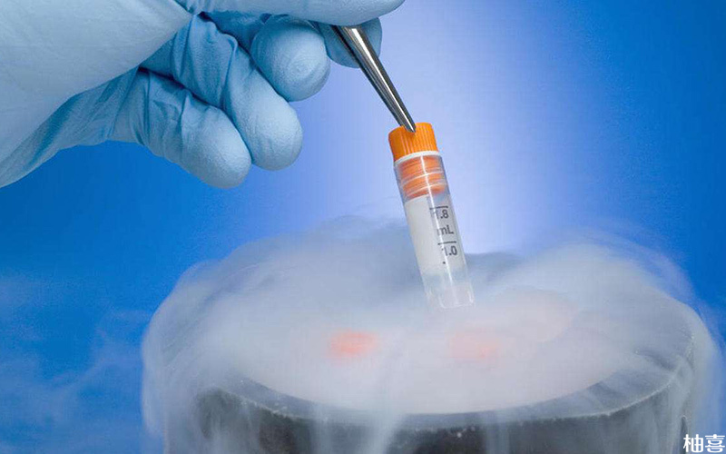 卵巢未恢复冻胚移植成功率会降低