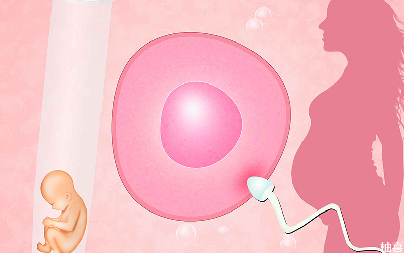 卵巢未恢复移植后容易出现流产