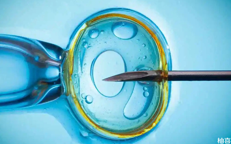囊胚移植失败会对卵巢造成刺激