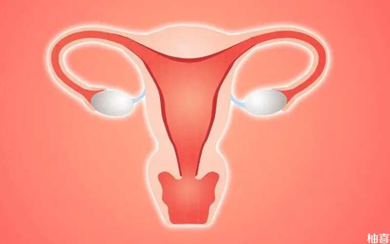 临床上会将子宫内膜形态分为三种