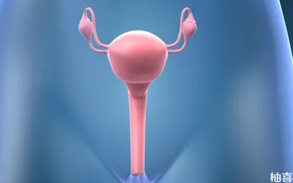 移植前子宫内膜从a转为b型容易着床吗?
