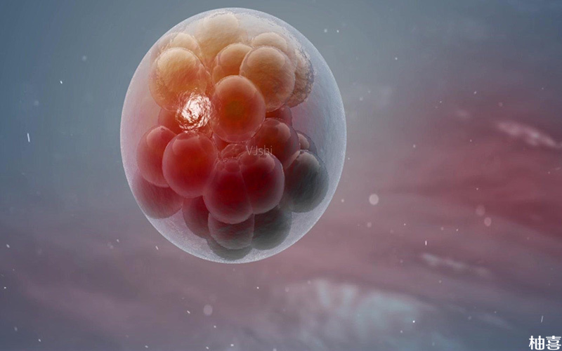 胚胎着床受很多因素影响