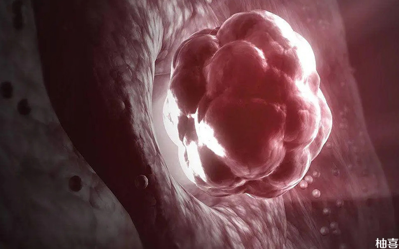 胚胎着床不稳可能会流产