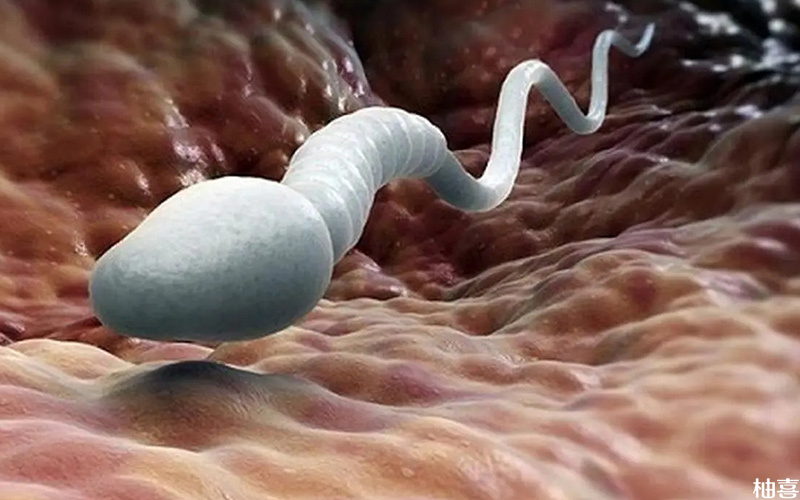 胚胎着床不稳可能是孕酮偏低而导致