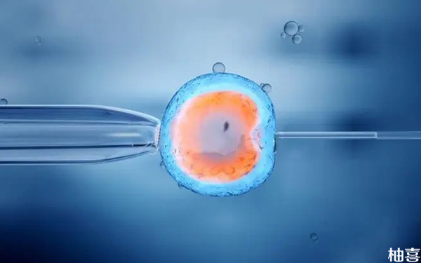 第一次试管移植胎停清宫后会影响第二次囊胚移植吗?