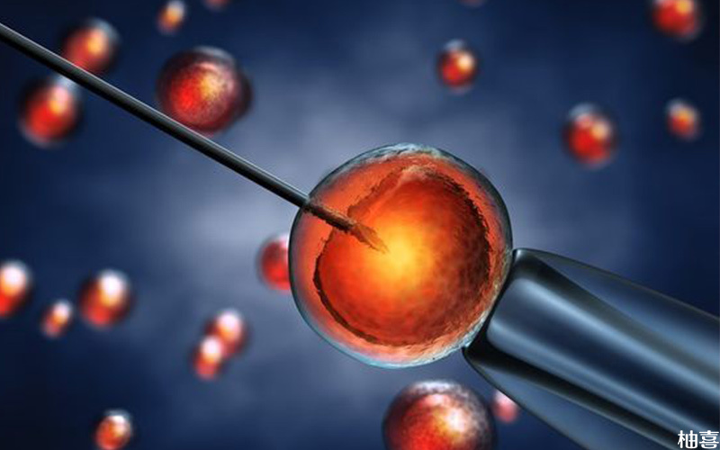 囊胚移植后影响胚胎发育的因素很多