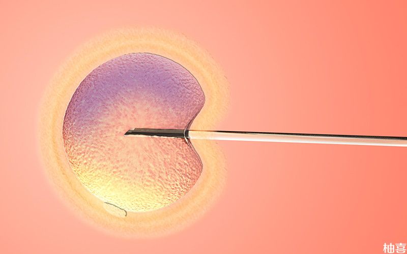 试管移植后胎停不能立即做囊胚移植