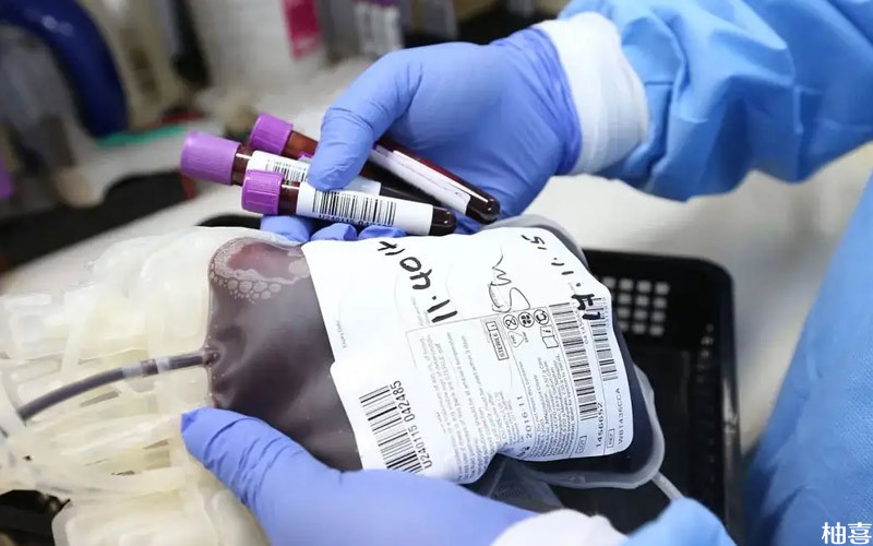 母子血型不合容易引起溶血病