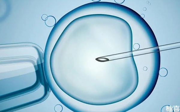 移植4bb级别的冻囊胚生男孩还是生女孩的几率大?