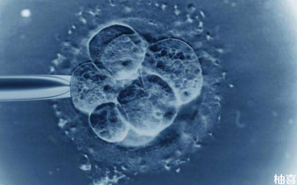 马赛克胚胎1号5号染色体异常移植后一般成功率高不高?
