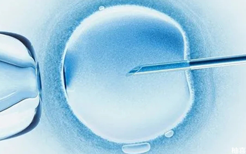 马赛克胚胎分为高风险和低风险的胚胎