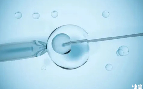 为什么三代试管第二次冻胚移植比第一次成功率高了?