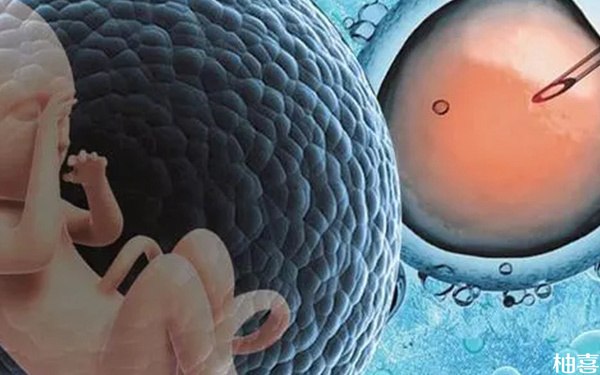 三代试管筛查后为什么会产生嵌合体，这种胚胎适合移植吗?