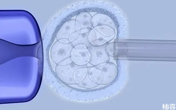 鲜胚移植是不是比囊胚移植hcg低些，翻倍规律有什么区别?