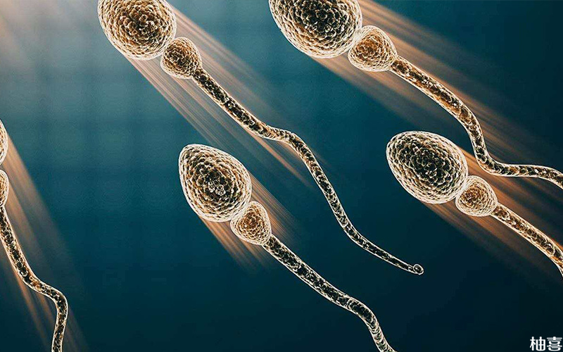 每毫升大概有6000万个以上的精子