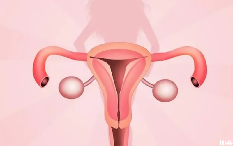 子宫内膜过厚的女性不要立即移植