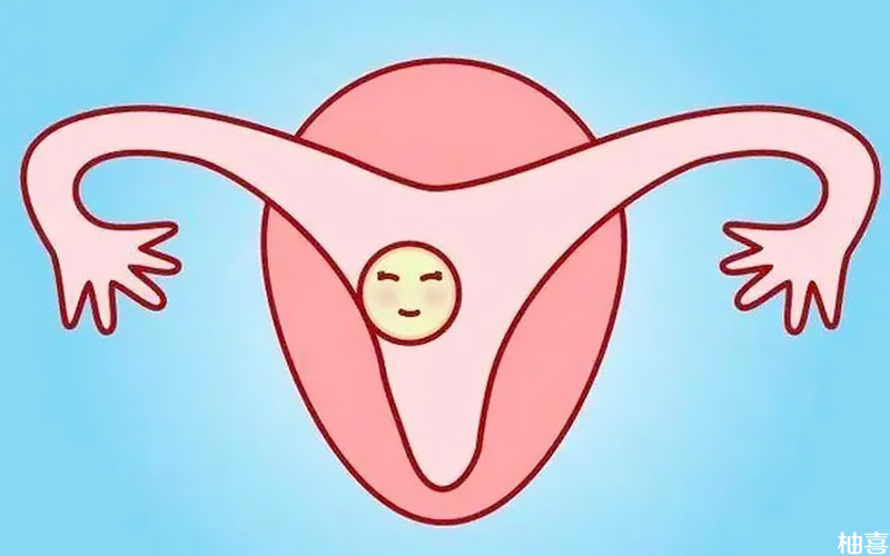 子宫内膜环境会影响胚胎着床