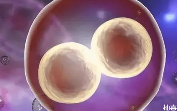 促排卵巢两侧有两个优势卵泡成熟后会一起排出来吗?