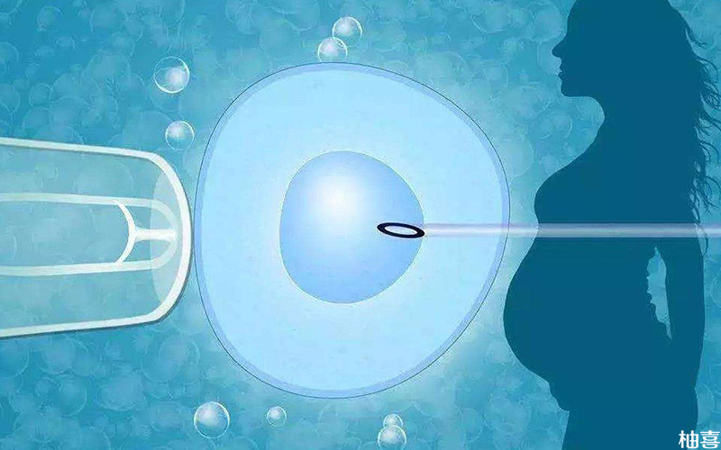 ppos方案移植鲜胚会导致成功率降低